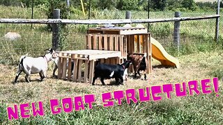 Finally BUILDING My DREAM Goat STRUCTURE!