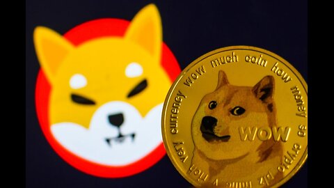 Fundador da Solanasolta o verbo e classifica Memecoins como "Lixo Digital".