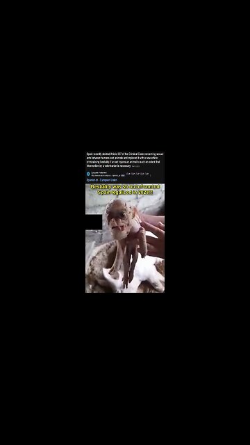 Spain Legalized Bestiality in 2023, Why?