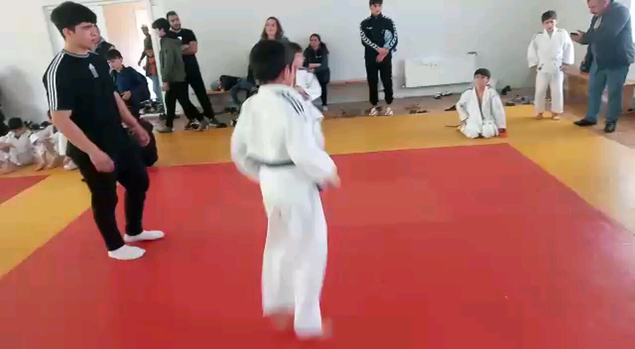 Judo fight