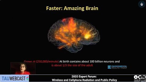 "Impact of Prenatal Cell Phone Exposure on Brain Cell Development: Is Humanity at Risk?"
