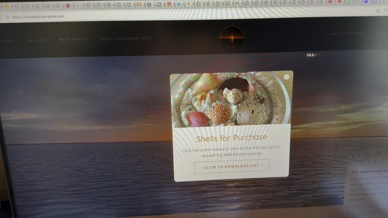 My Wishlist, Website & More! | 4K