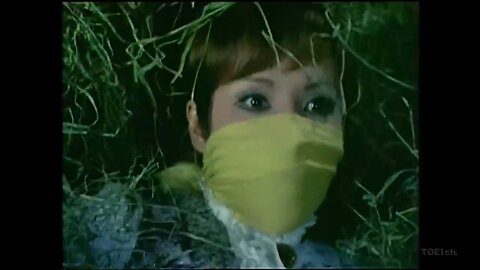 Playgirl #1 (gagged)