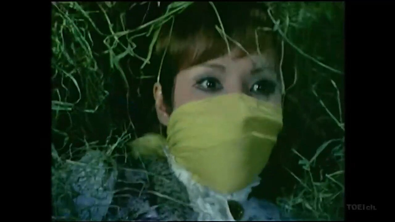 Playgirl #1 (gagged)