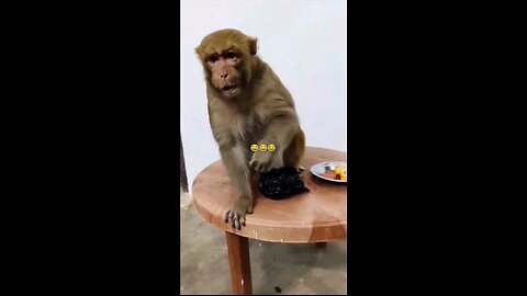 पिछे हट बे