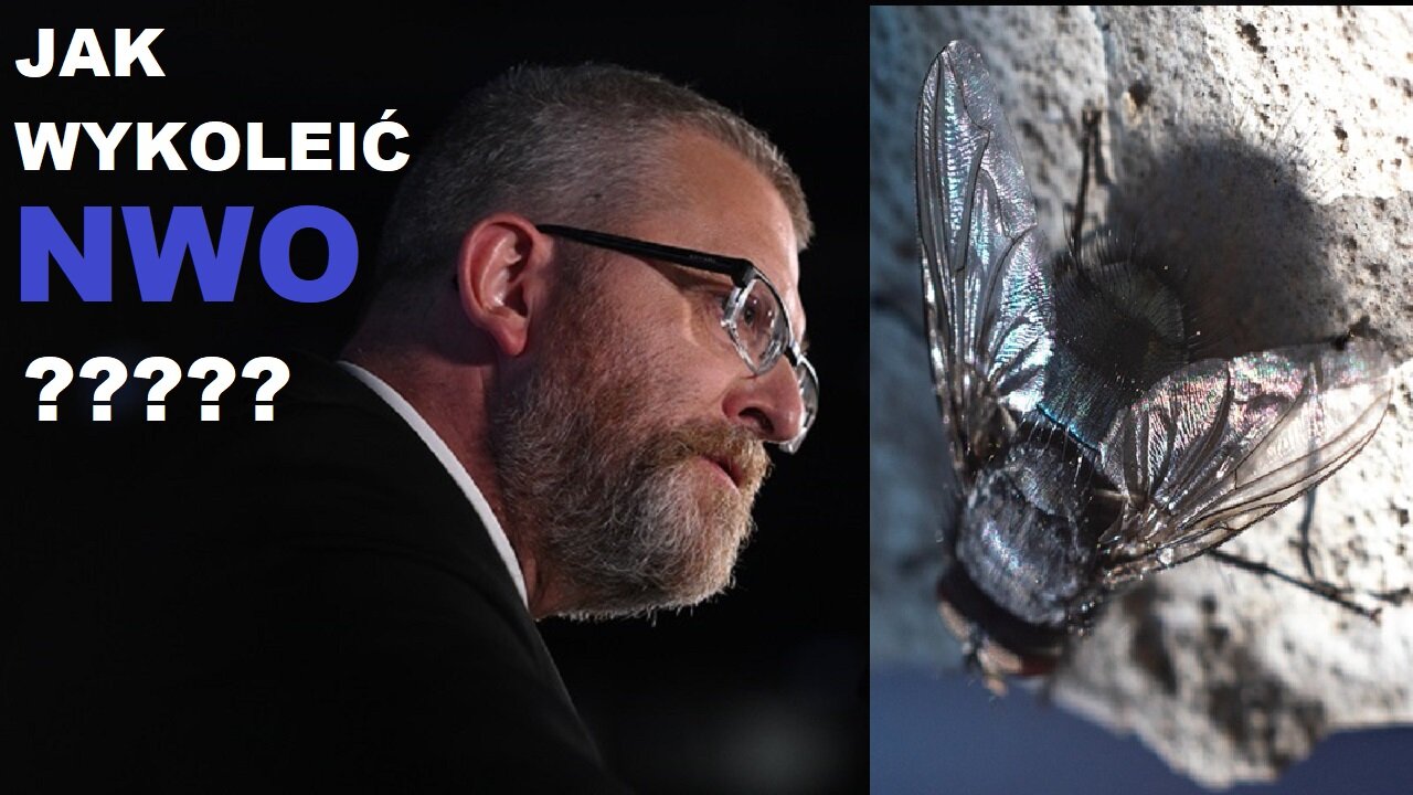 NATRĘTNA MUCHA POSEŁ BRAUN
