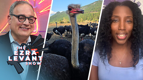Drea Humphrey talks 2025 Viewer's Choice Award win, upcoming ostrich farm documentary