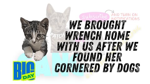 1st Aug WE BROUGHT WRENCH HOME WITH US