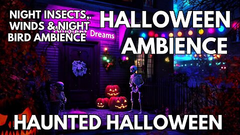 🎃 Haunted Halloween Ambience | Night Insects, Balmy Winds & Night Birds | Horror 4K ASMR
