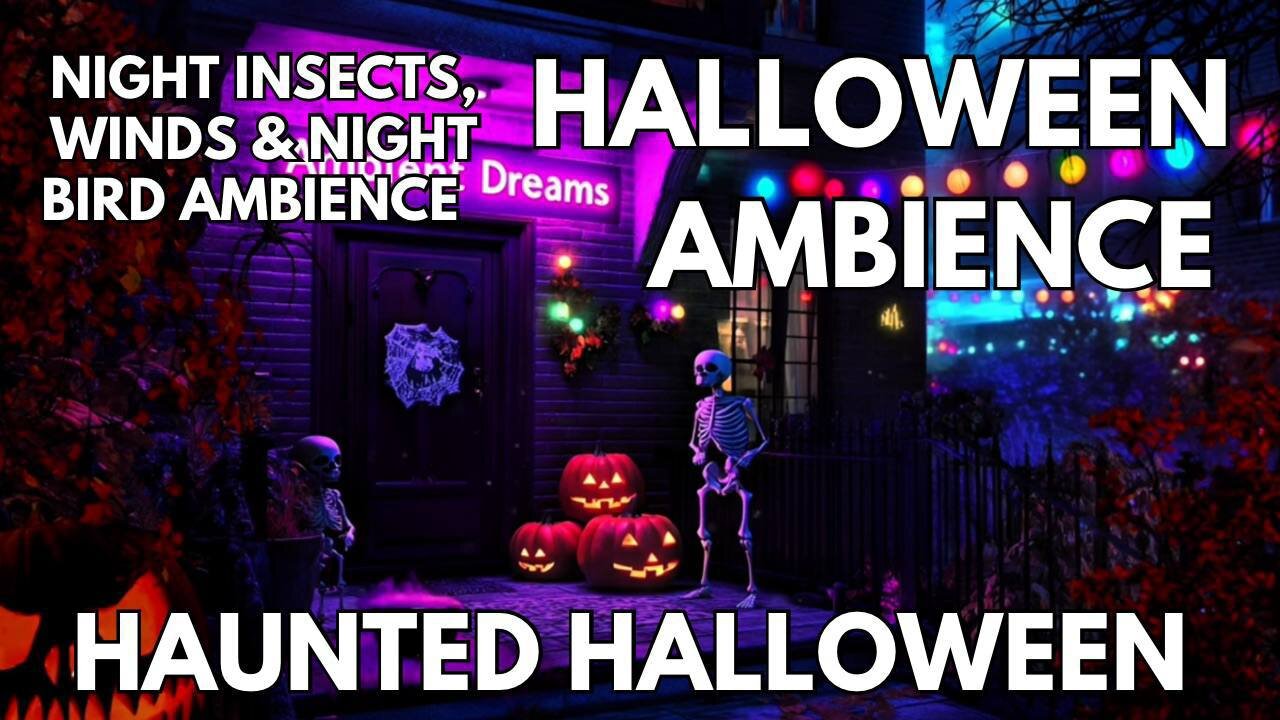 🎃 Haunted Halloween Ambience | Night Insects, Balmy Winds & Night Birds | Horror 4K ASMR