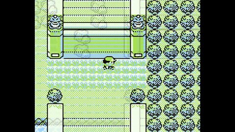 Pokémon Green - Playthrough/Videoprůvodce - 33 {JP}