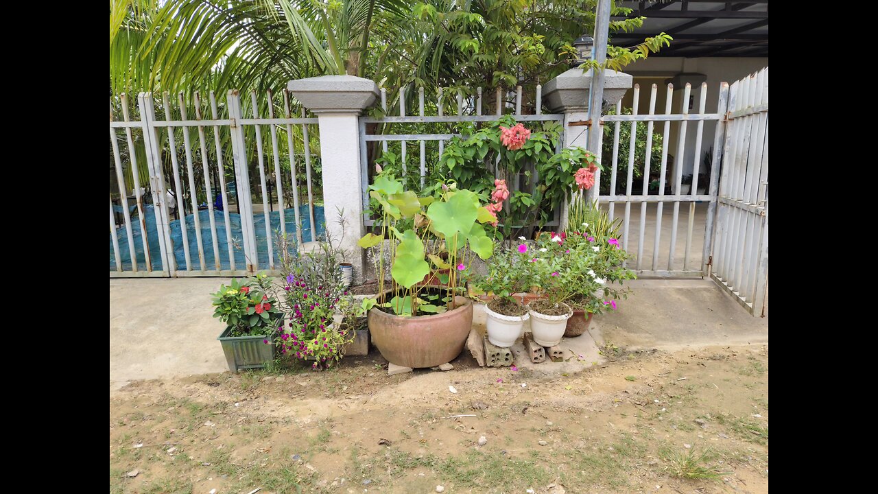 High quality photos by Yos Channabo on Saturday 12 April 2025 in Landscape Mode