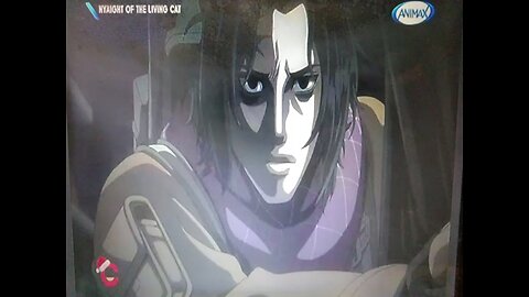 Nyaight of the Living Cat Kaoru