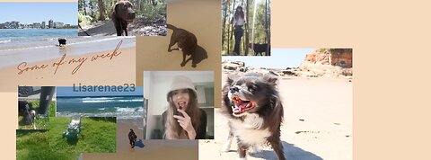 Last week sunshine coast