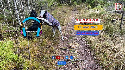 Skogpod 13. november 2025