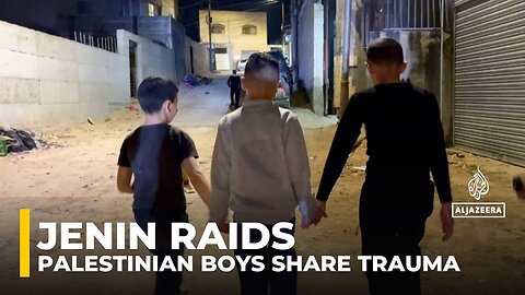 The Jenin Raids