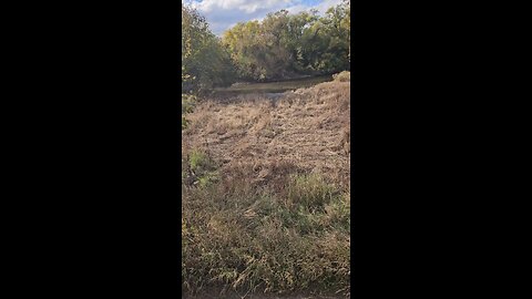 Green is Just a Memory Here