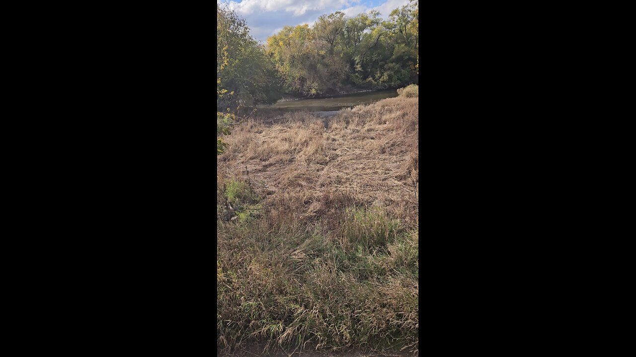 Green is Just a Memory Here