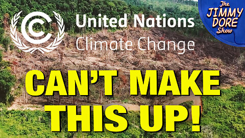 Brazilian Rainforest CLEARED – To Prepare For A Climate Conference!