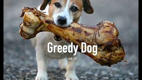 Greedy Dogs