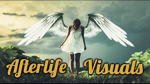 Vistas of the Afterlife: The Testimony of an Astral Traveler from the Hereafter