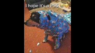 Dank Offensive Memes Compilation #229