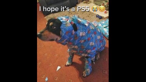 Dank Offensive Memes Compilation #229