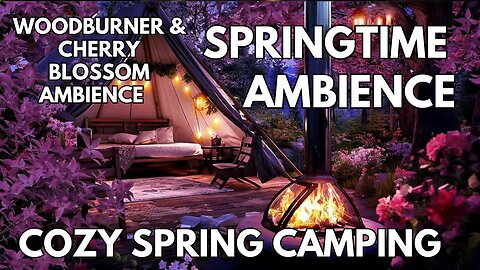 ⛺Cozy Spring Camping Ambience | Campfire & Cherry Blossom Trees | Springtime 4K ASMR