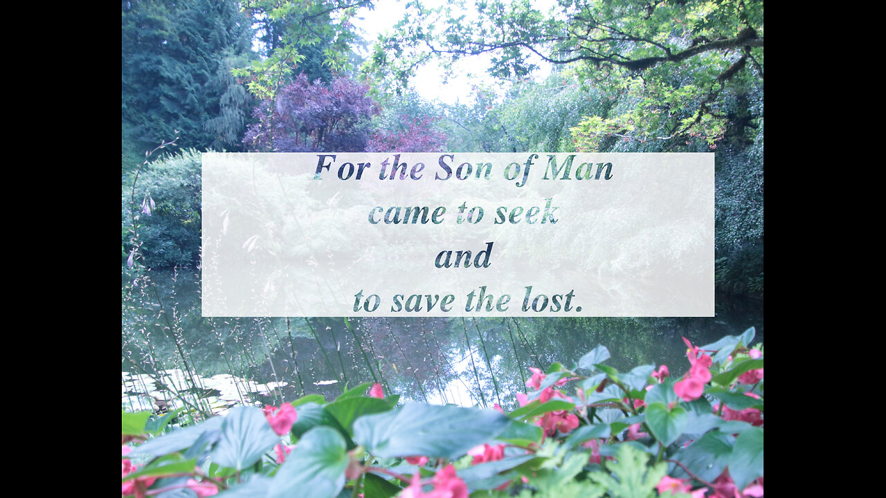 For the Son of Man came to seek and to save the lost