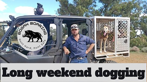 Long weekend dogging
