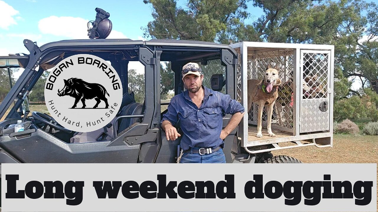 Long weekend dogging
