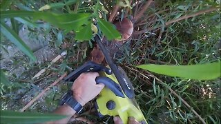 Cordless chain saw
