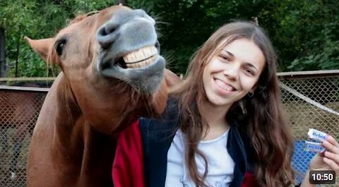 When Horses Get Caught Being Comedians With Their Human 🤪