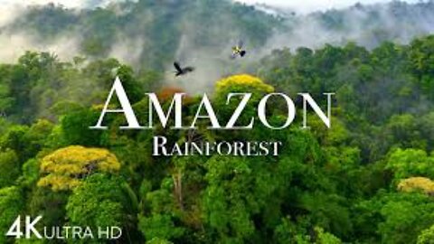 Amazon Brazilian Rainforest Cleared by Elites NWO to Prepare for a Climate Conference