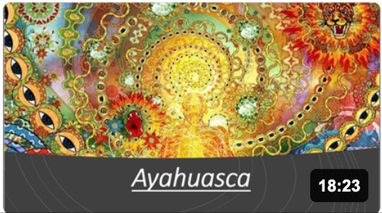 Ayahuasca Evidence - Risks & Side Effects