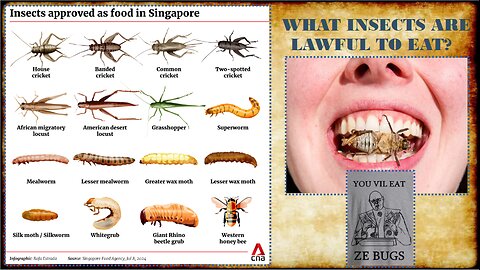 YOU VIL EAT ZE BUGZ! (What Insects are lawful to Eat?)