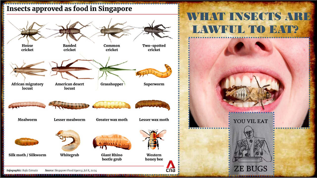 YOU VIL EAT ZE BUGZ! (What Insects are lawful to Eat?)