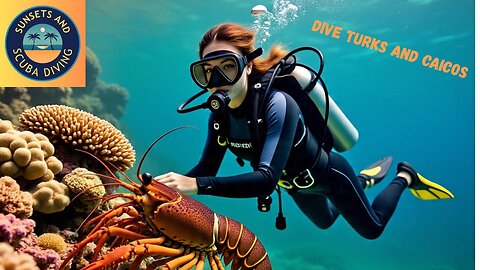 🐠 Scuba Diving the Catacombs – Turks and Caicos in Stunning 5.3K with GoPro 13! 🇹🇨🦞