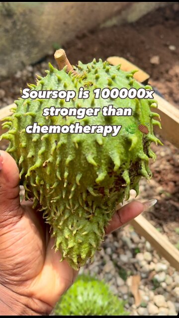 Did you know Soursop is 10,000x stronger than chemotherapy