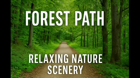 "Peaceful Forest Path – A Walk Through Nature's Calm"