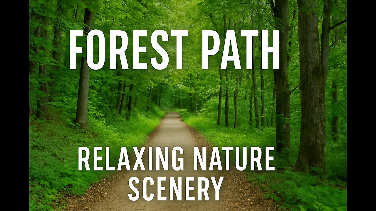 "Peaceful Forest Path – A Walk Through Nature's Calm"