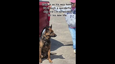 Zeke is finally going home