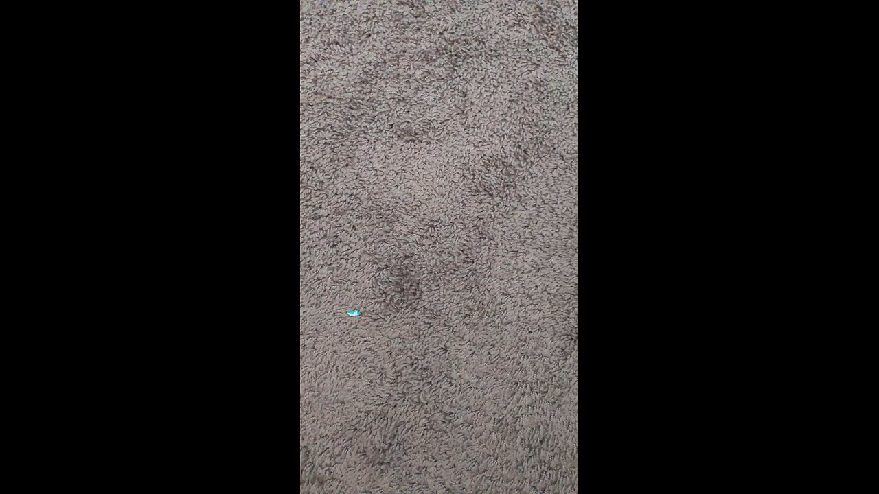 test 2