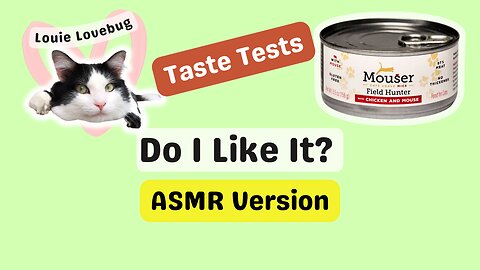 Louie’s Cat Food Taste Test Reaction Will Melt Your Heart! 🐾