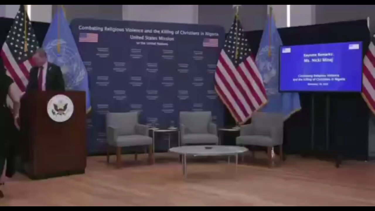 Nicki Minaj spoke at the UN and addressed the persecution