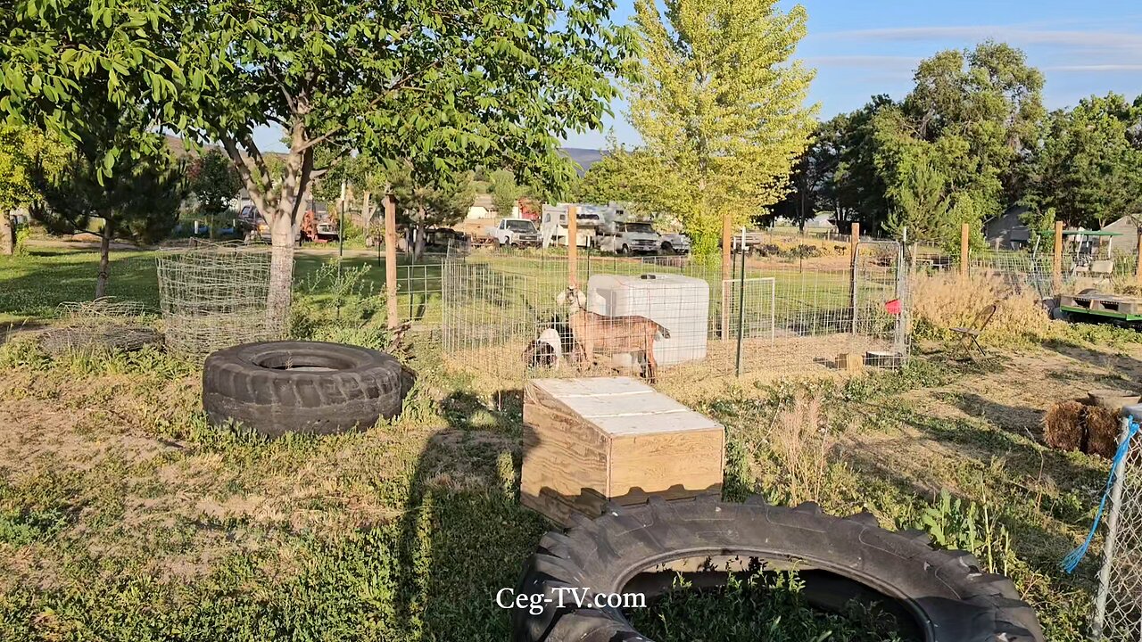 Graham Family Farm: 8:25 PM June 12 2025