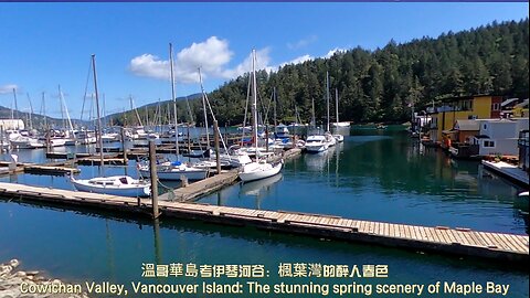 Cowichan Valley, Vancouver Island: The stunning spring scenery of Maple Bay