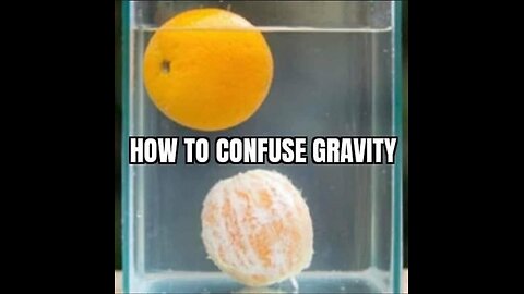 Astrophysicist verses Flat Earther