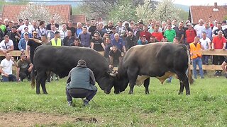 Medonja od Langića vs Medonja od Muhića Vitez 2025