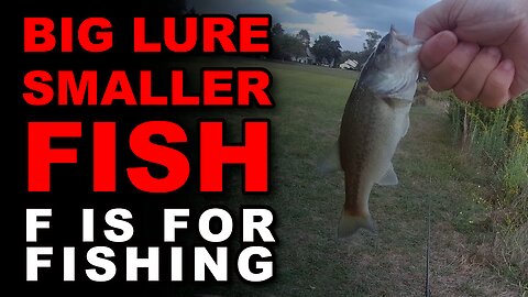 Big Lure Smaller Fish